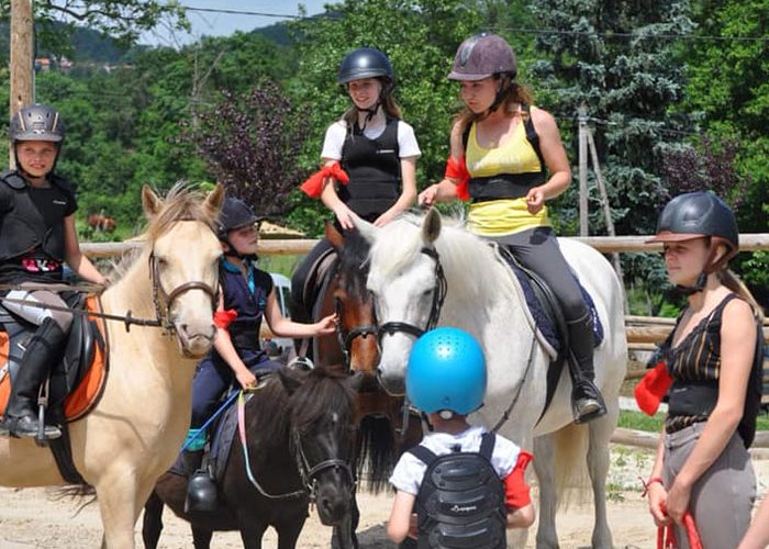 Écurie chevaux La Talaudière